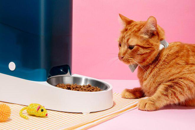 九游体育：猫粮品牌十大排行(图9)