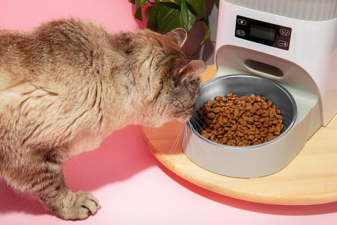 九游体育：猫粮品牌十大排行(图10)