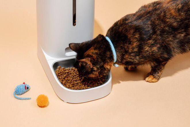 九游体育：猫粮品牌十大排行(图12)