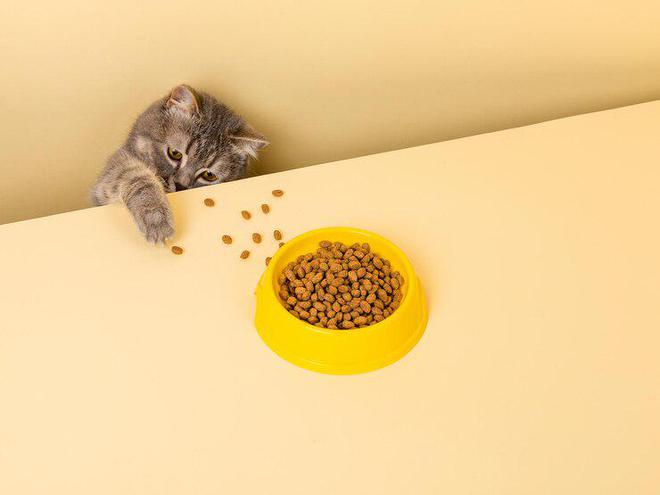 九游体育：猫粮品牌十大排行(图8)