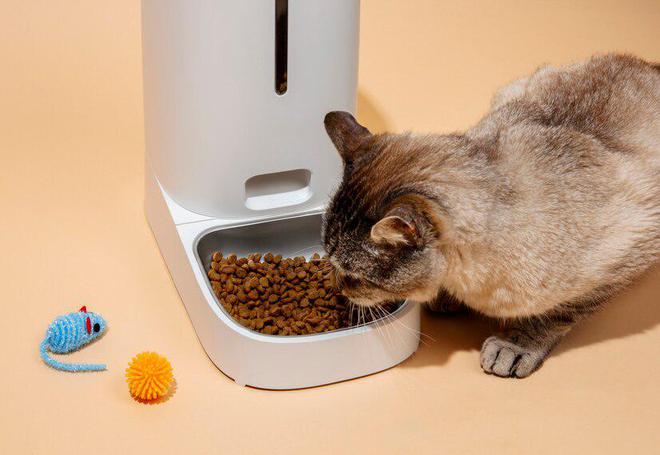 九游体育：猫粮品牌十大排行(图11)
