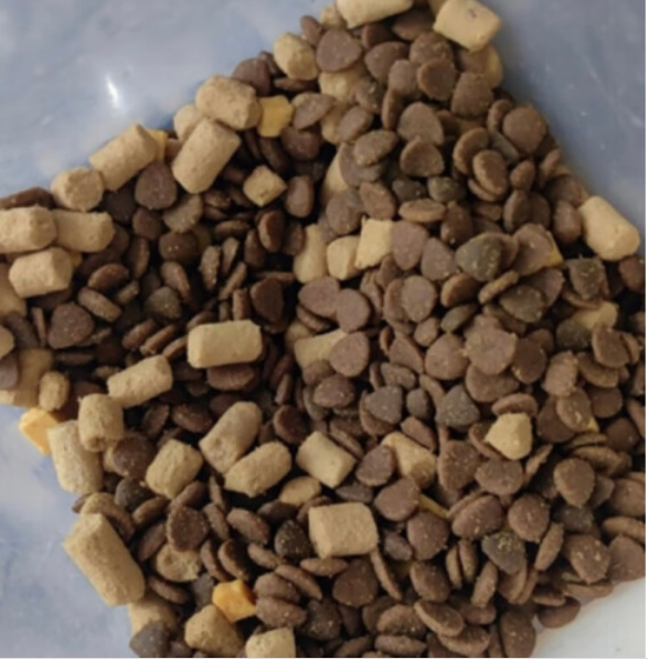 九游体育网站：每一口都是好鲜肉wowo打造优质鲜肉猫粮(图2)
