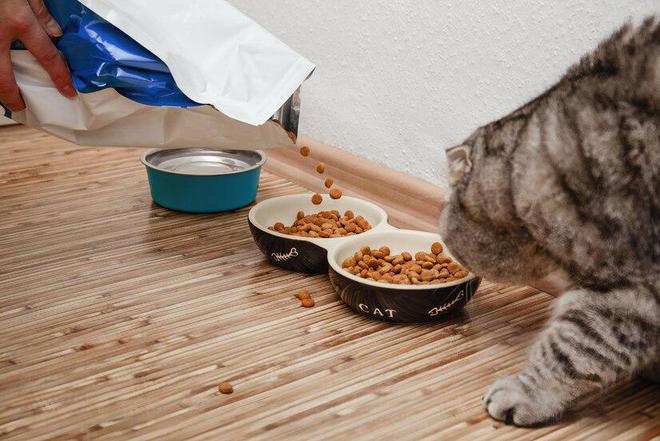 猫粮推荐：2024年十大猫粮品牌排行榜(图7)