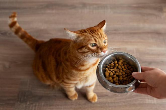 猫粮推荐：2024年十大猫粮品牌排行榜(图11)