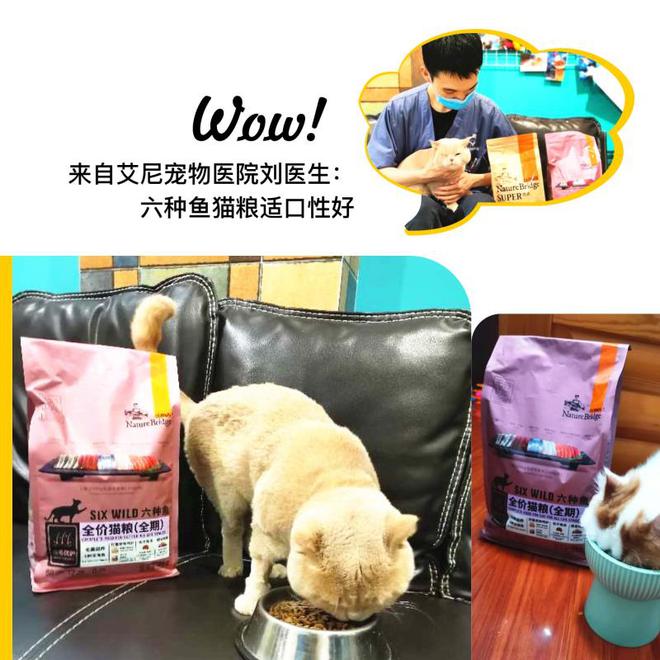 千亿宠物市场升级风口高端品质助力国货比瑞吉突围(图8)
