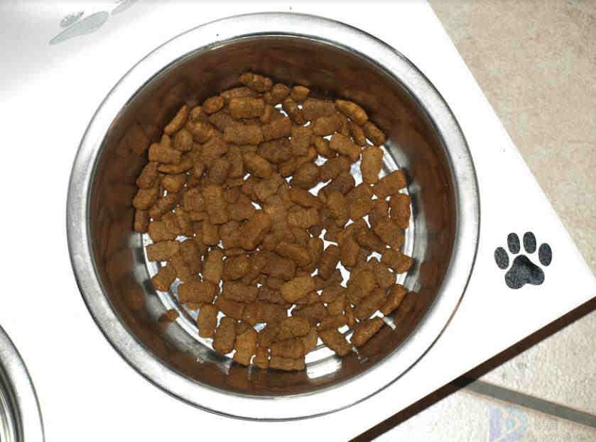 十大热门天然猫粮排行榜(图2)