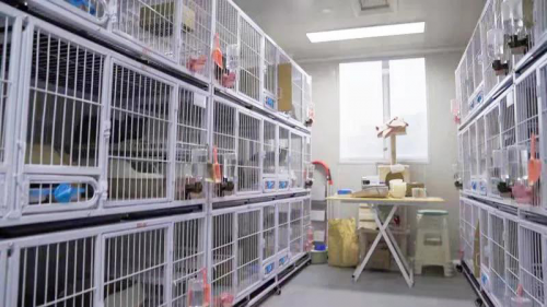 回归初心新国货猫粮品牌嘉传以科学研发冲击高端市场(图4)
