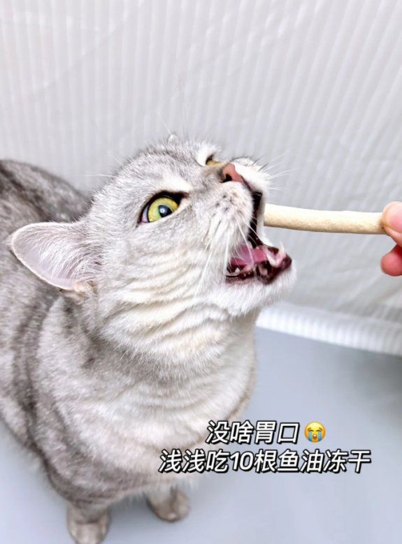 九游体育：猫粮品牌推荐｜猫粮排行榜前十名口碑最好的有哪款？(图3)
