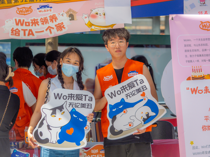 守护喵星人wowo猫粮用行动诠释爱(图2)