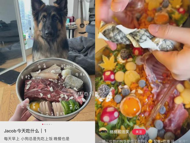 “我吃99外卖猫吃满汉全席”风很大的高端宠物粮掏空年轻人(图3)
