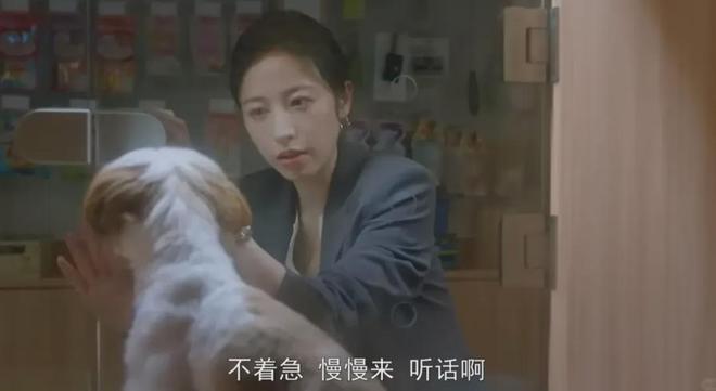 “我吃99外卖猫吃满汉全席”风很大的高端宠物粮掏空年轻人(图8)