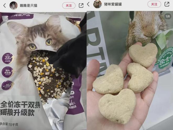 “我吃99外卖猫吃满汉全席”风很大的高端宠物粮掏空年轻人(图7)