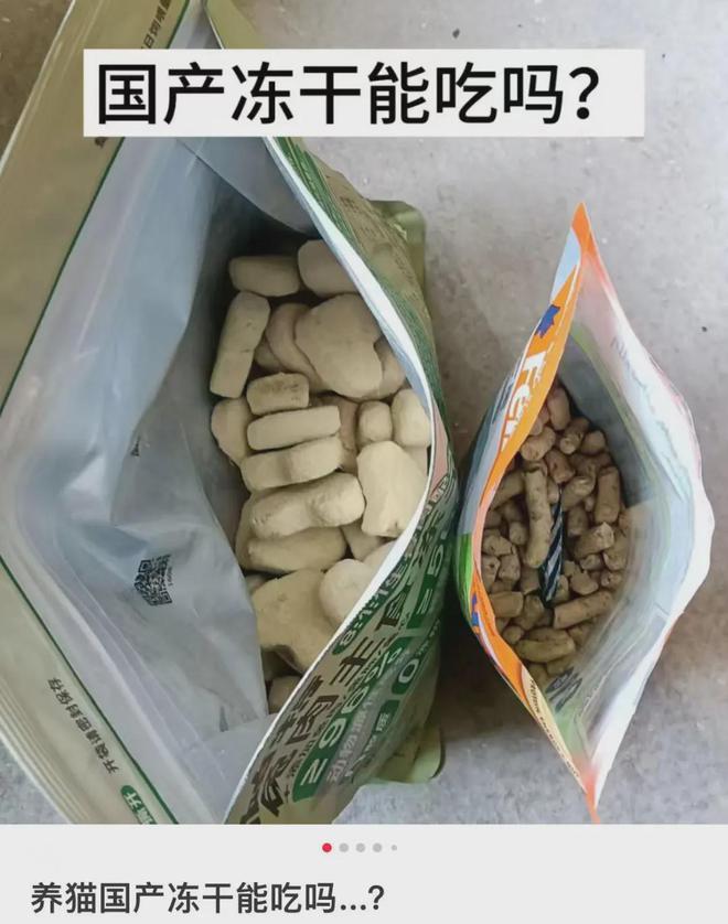 “我吃99外卖猫吃满汉全席”风很大的高端宠物粮掏空年轻人(图6)