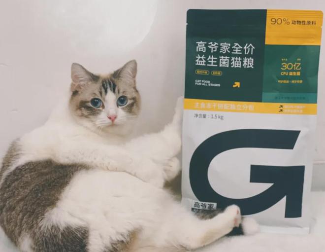 “我吃99外卖猫吃满汉全席”风很大的高端宠物粮掏空年轻人(图9)