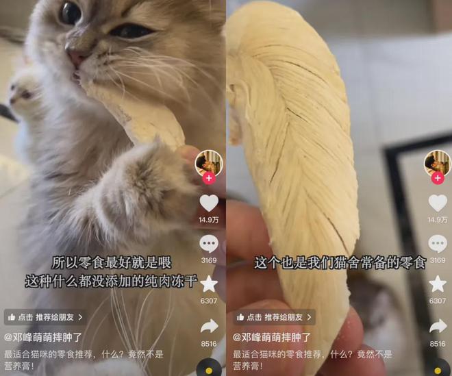 “我吃99外卖猫吃满汉全席”风很大的高端宠物粮掏空年轻人(图11)