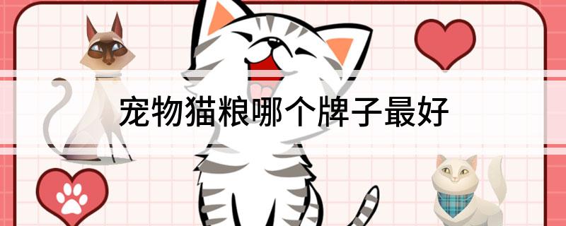 九游体育网站：宠物猫粮哪个牌子最好(图1)