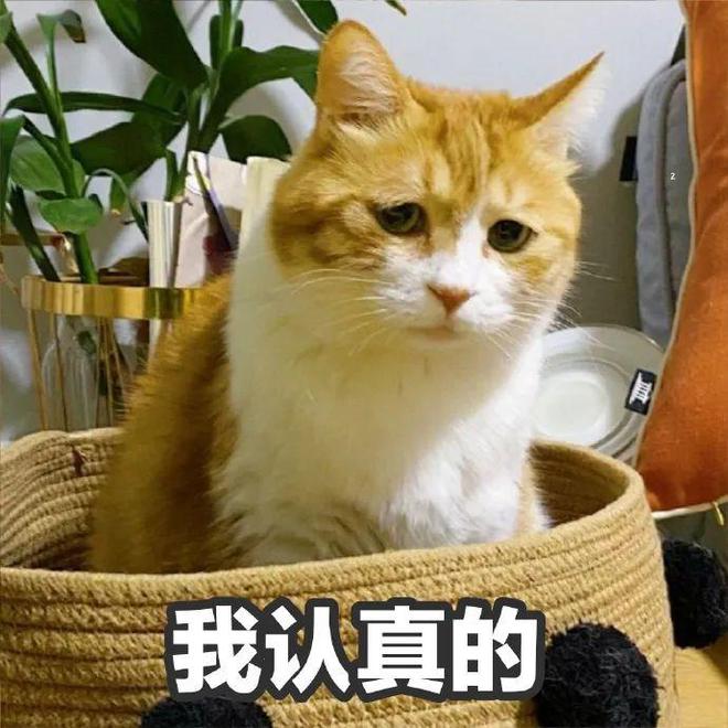 九游体育：「杀高行动」再增加两个5折品牌感谢！真的感谢！(图2)