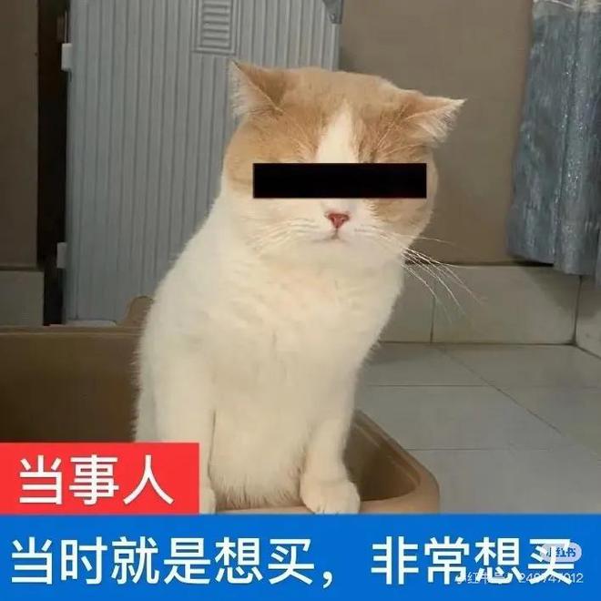 九游体育网站：外卖大战还没结束京东：还有大招(图2)