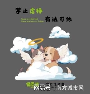 猫粮品牌推荐｜解码宠巴适18万单流量密码：公益+内容如何撬动Z世代消费新趋势(图2)