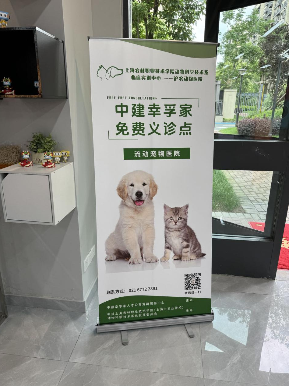 九游体育：哪里有人才哪里就有服务松江区打造一流人才生态圈(图4)