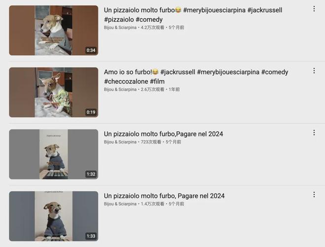 宠物出海品牌Furbo、Petkit和PetSnowy合作了哪些高性价比红人？(图6)