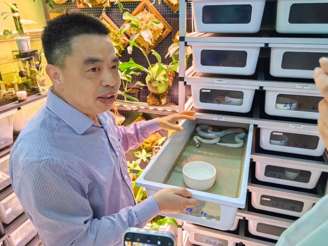 九游体育：从“萌宠”到“顶流”什么是青岛宠物经济的产业密码？(图3)