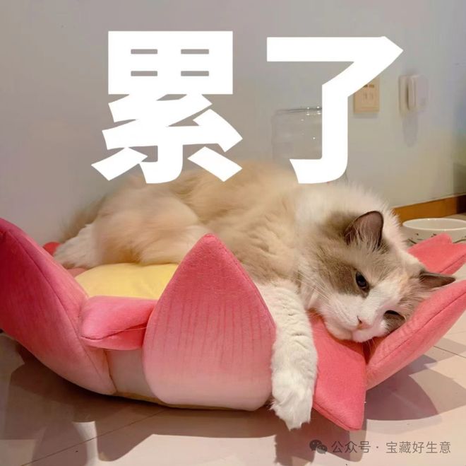 深度一个新消费品从业者的五年创业思考(图5)