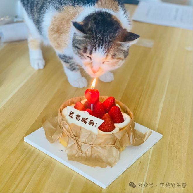 深度一个新消费品从业者的五年创业思考(图6)