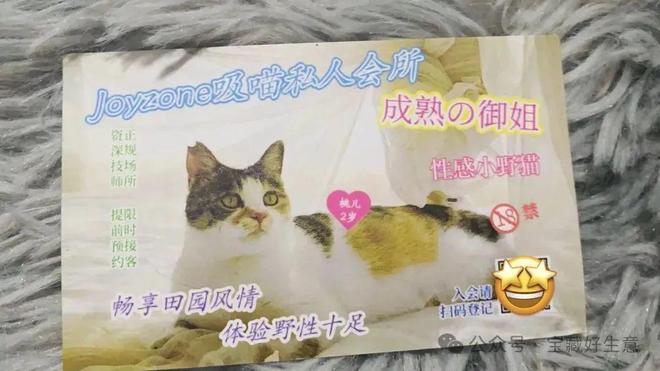 深度一个新消费品从业者的五年创业思考(图8)