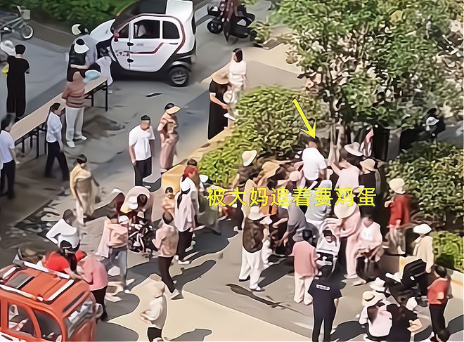 九游体育网站：山东：小区端午免费包粽子大妈连盆都端走了还围堵物业要鸡蛋(图3)