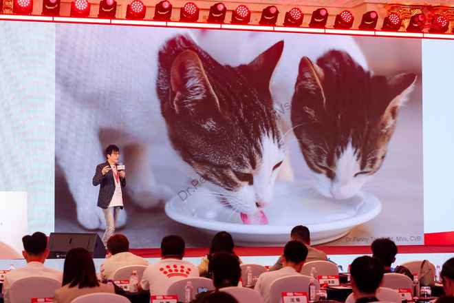 第五届皇家·TOPS猫繁育高峰论坛举行新声汇聚引领繁育产业创新(图7)