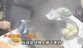 后续！重庆猫咪掉进火锅：老板赔偿超1万猫咪离世后老板悲痛(图2)