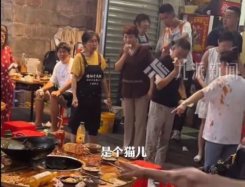 后续！重庆猫咪掉进火锅：老板赔偿超1万猫咪离世后老板悲痛(图3)