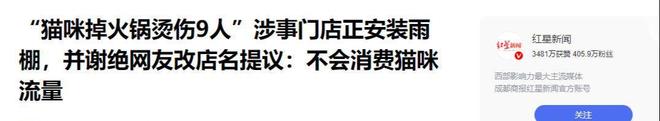 后续！重庆猫咪掉进火锅：老板赔偿超1万猫咪离世后老板悲痛(图10)