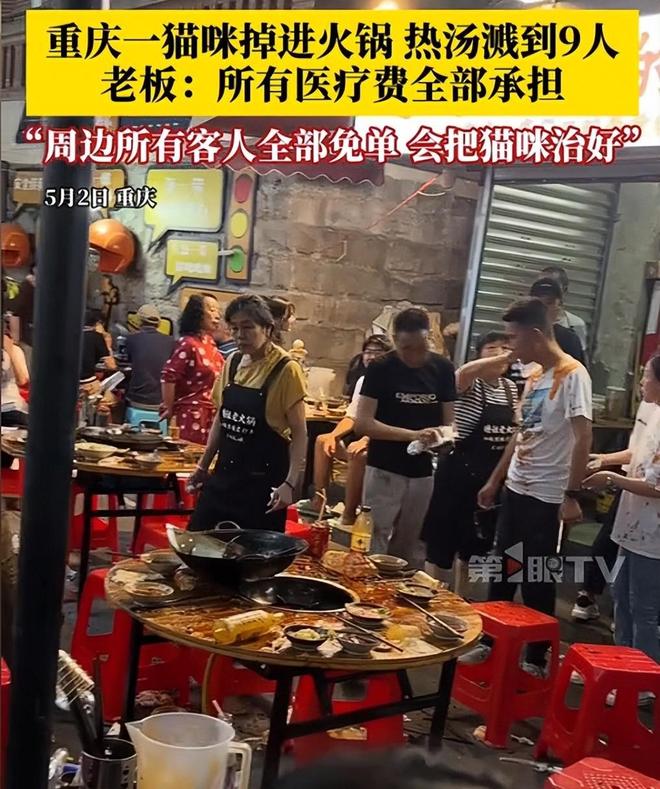 后续！重庆猫咪掉进火锅：老板赔偿超1万猫咪离世后老板悲痛(图9)
