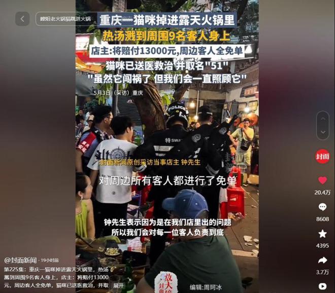 后续！重庆猫咪掉进火锅：老板赔偿超1万猫咪离世后老板悲痛(图15)