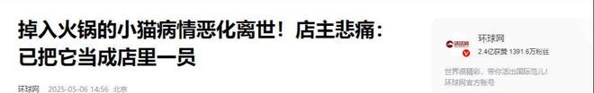后续！重庆猫咪掉进火锅：老板赔偿超1万猫咪离世后老板悲痛(图17)