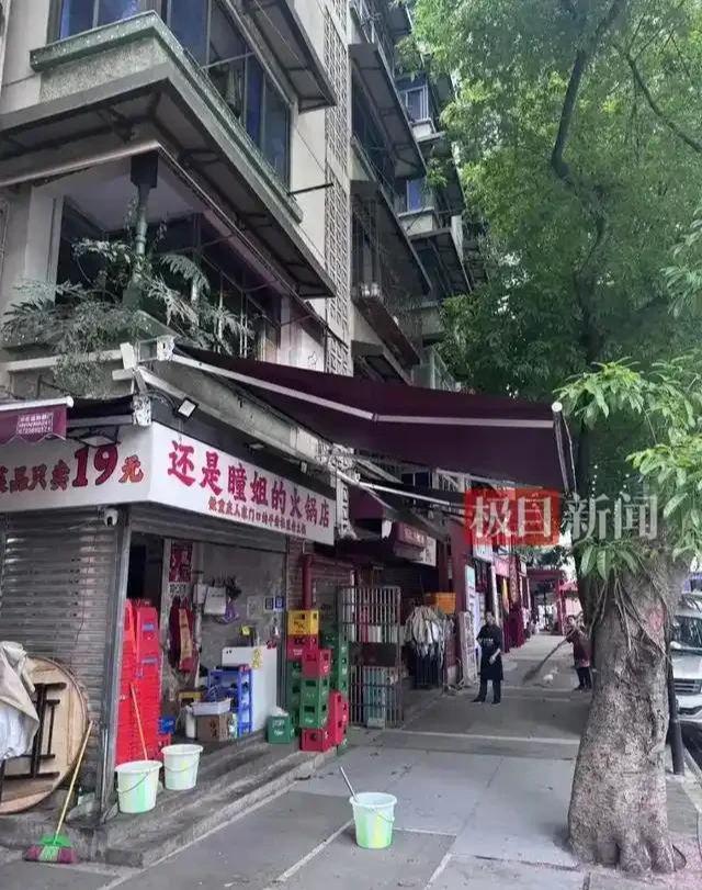 后续！重庆猫咪掉进火锅：老板赔偿超1万猫咪离世后老板悲痛(图16)