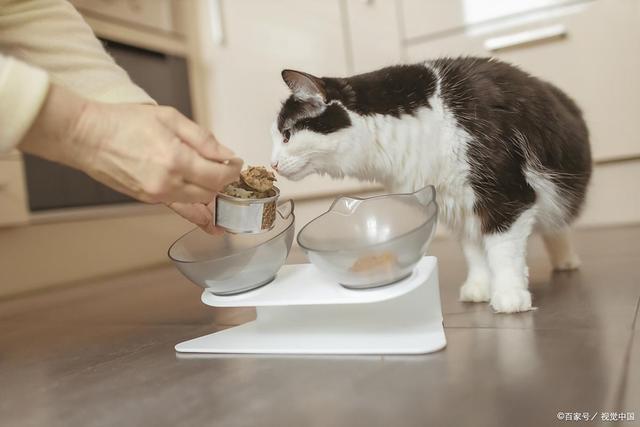 九游体育网站：f中国最好三个猫粮：希喂猫粮鲜肉含量77%！(图2)